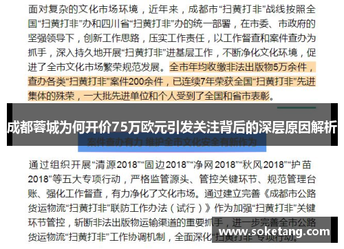 成都蓉城为何开价75万欧元引发关注背后的深层原因解析