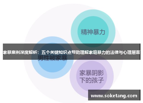 家暴案例深度解析：五个关键知识点帮助理解家庭暴力的法律与心理层面