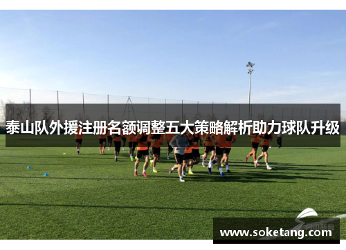 泰山队外援注册名额调整五大策略解析助力球队升级